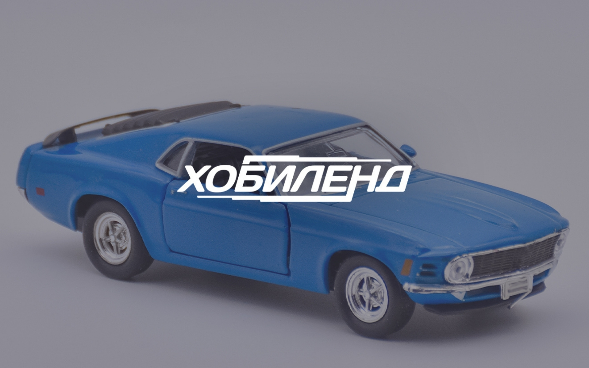 portfolio Hobbyland